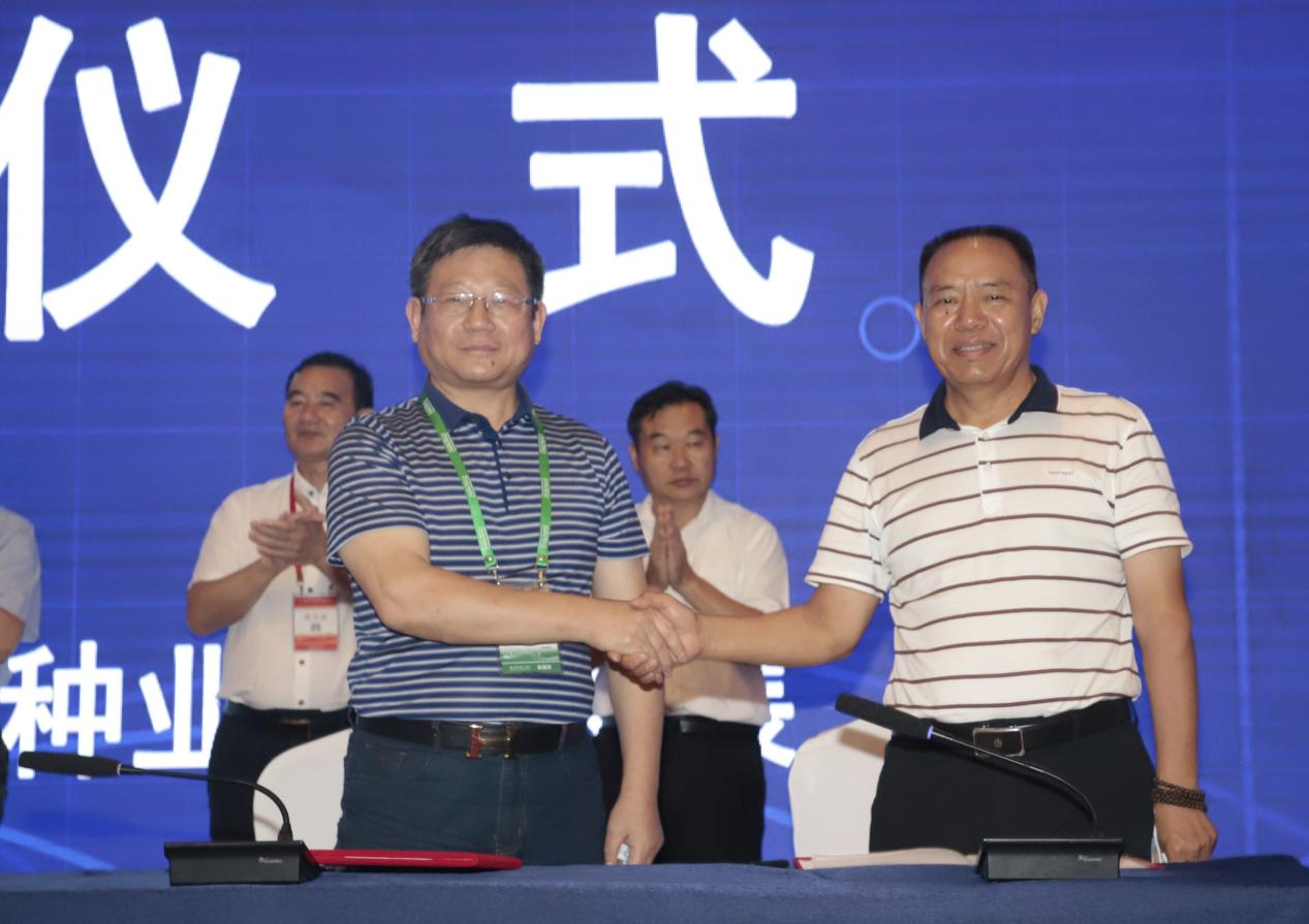 图片13.png 图片13.png