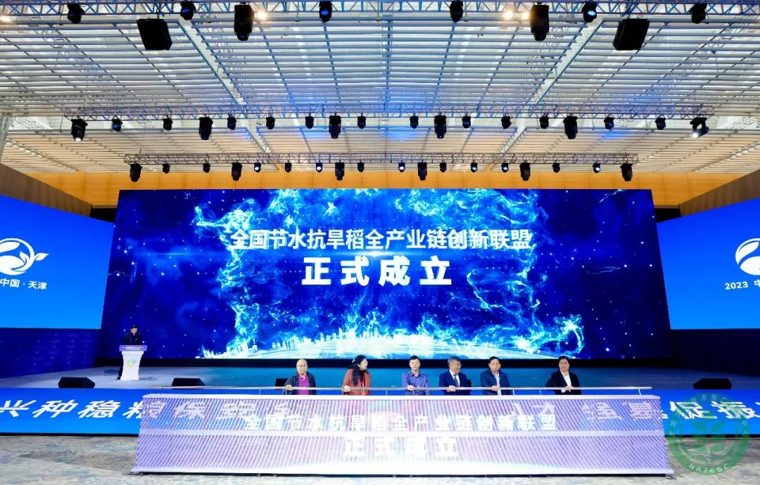 图片4(1).png 图片4(1).png