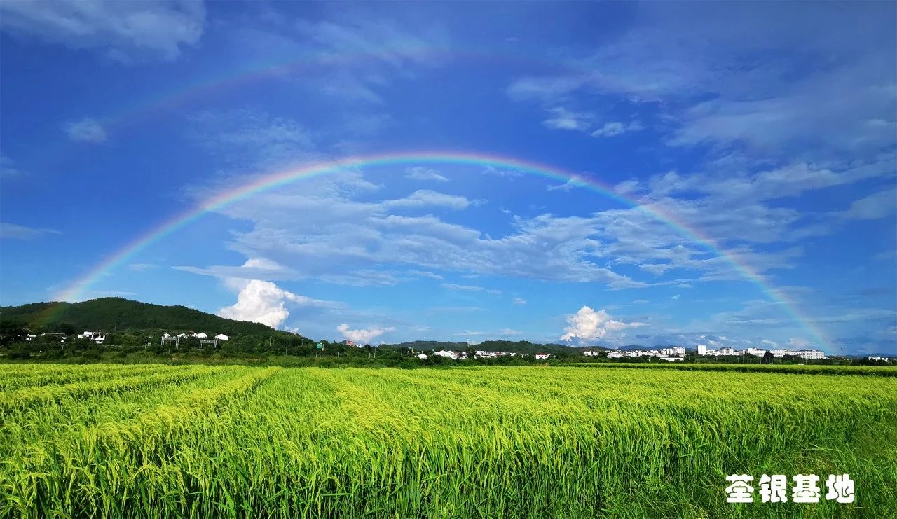 微信图片_20231123134045.jpg 微信图片_20231123134045.jpg