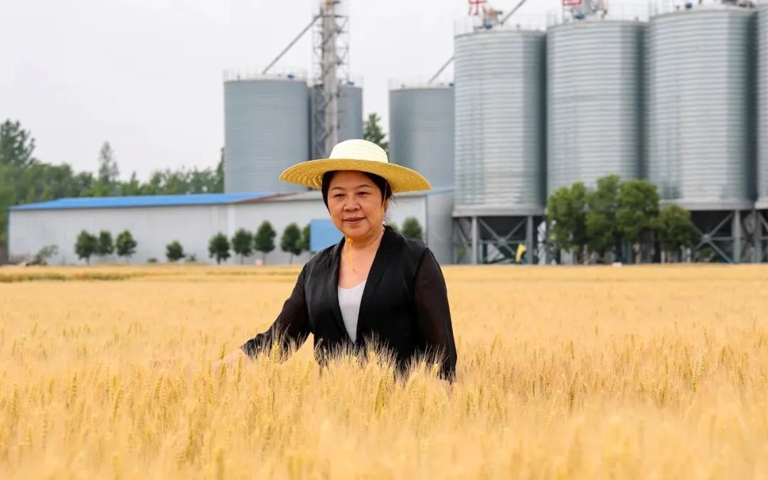 微信图片_20250307160247.jpg 微信图片_20250307160247.jpg