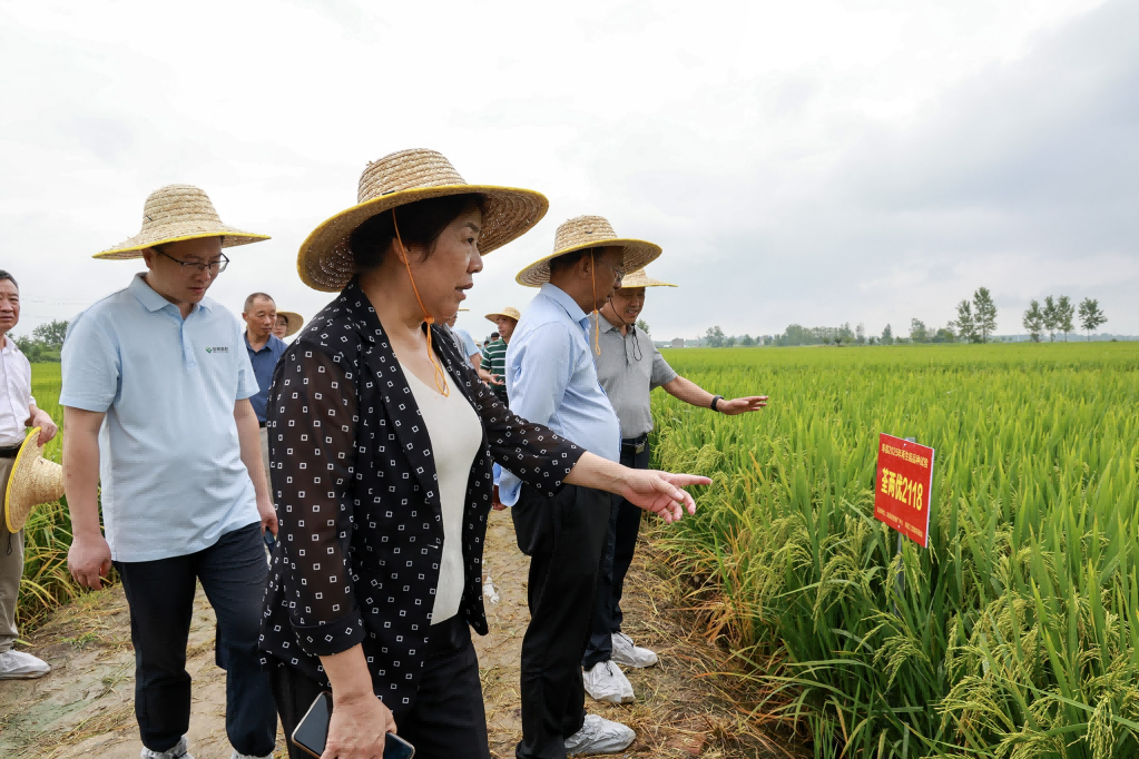 图片13.png 图片13.png