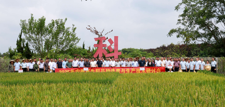 图片14.png 图片14.png