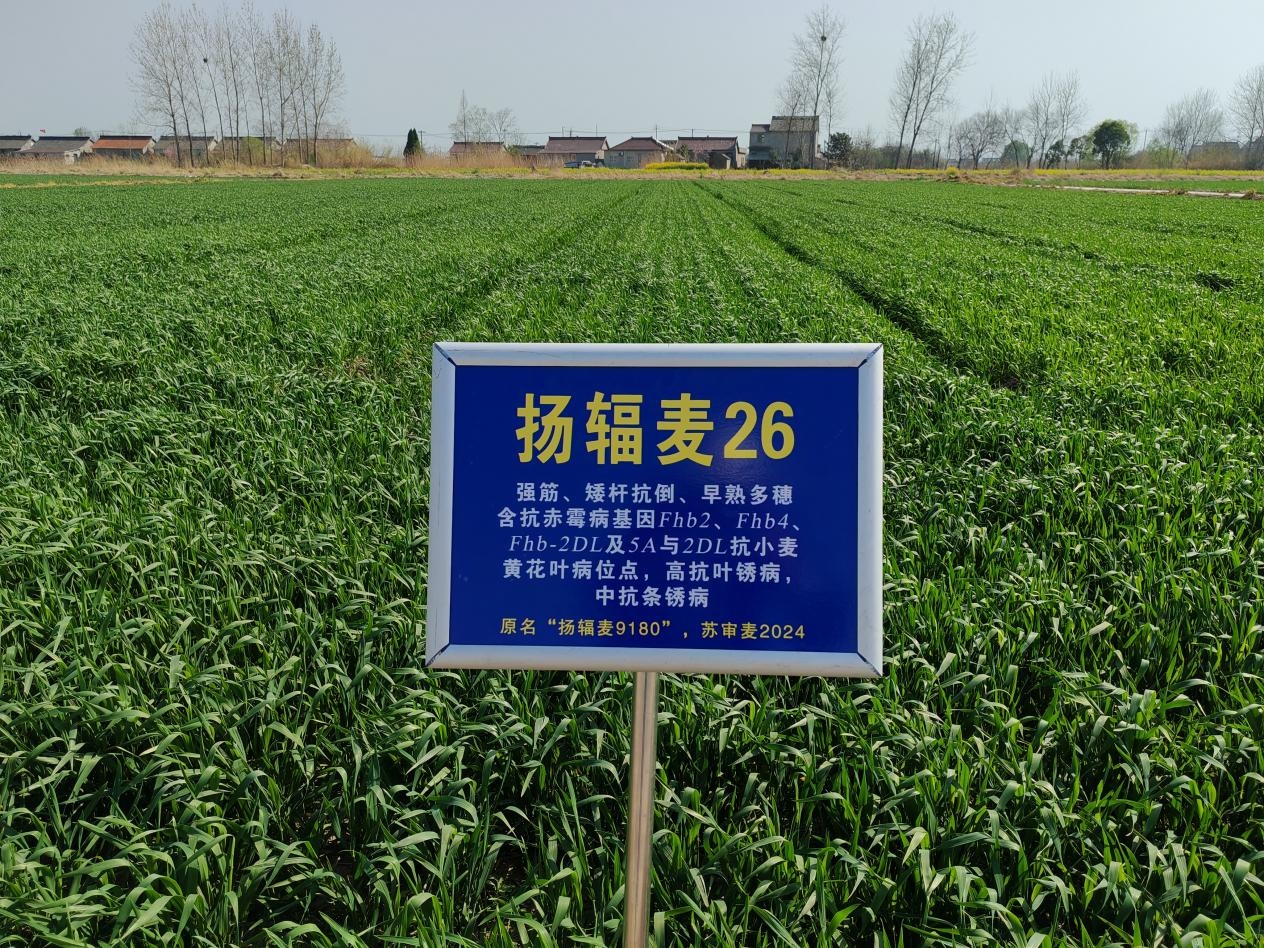 图片1.jpg 图片1.jpg