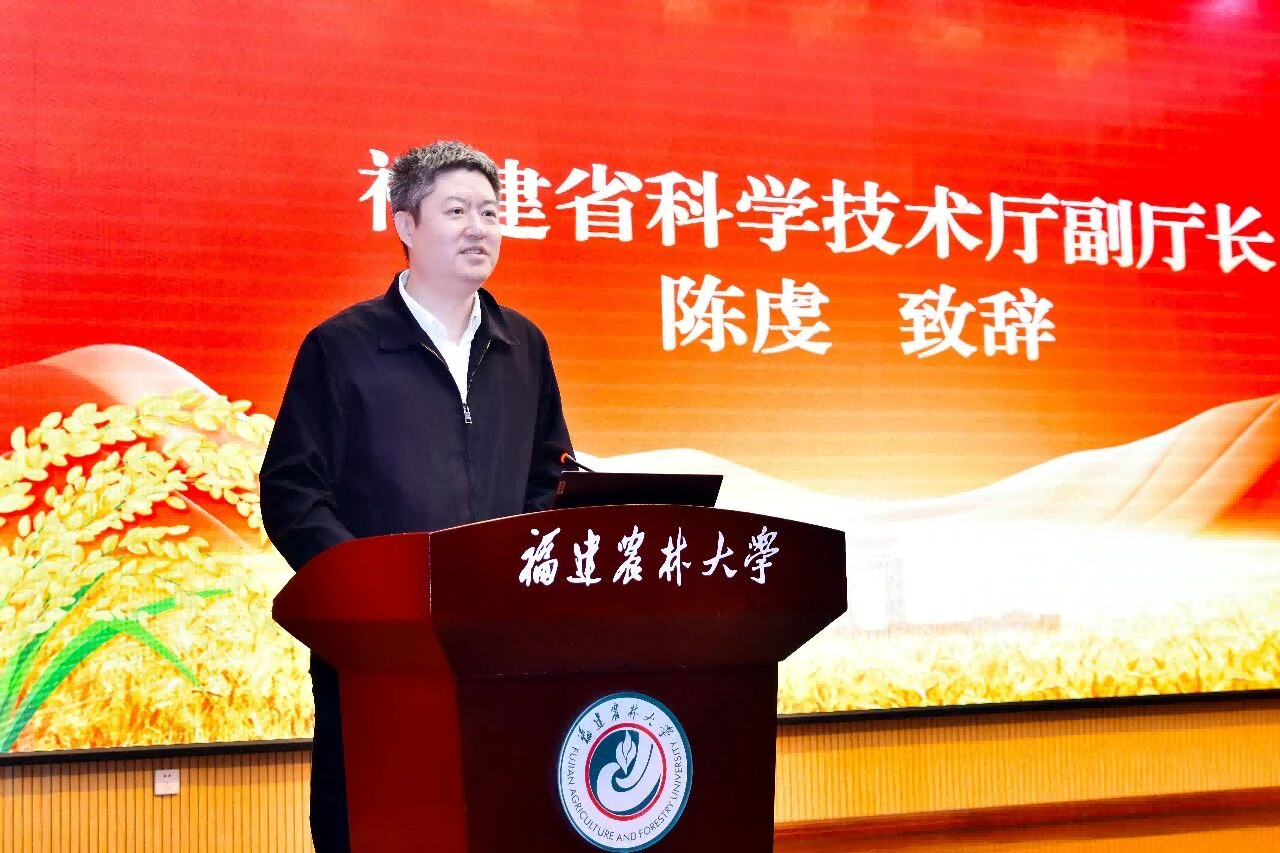 图片6.png 图片6.png